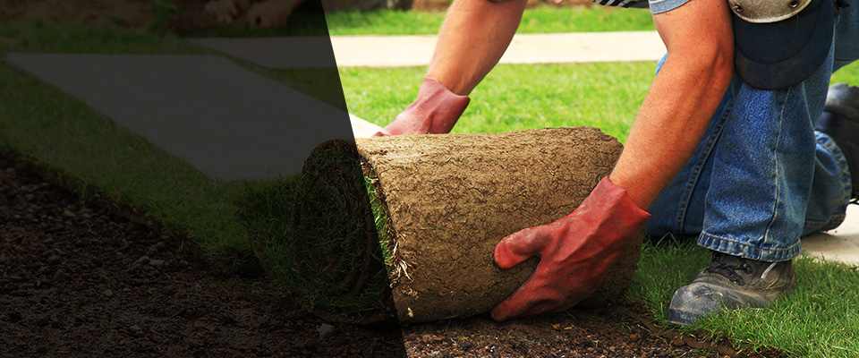 Farmingville Landscapers